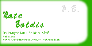mate boldis business card