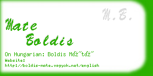 mate boldis business card